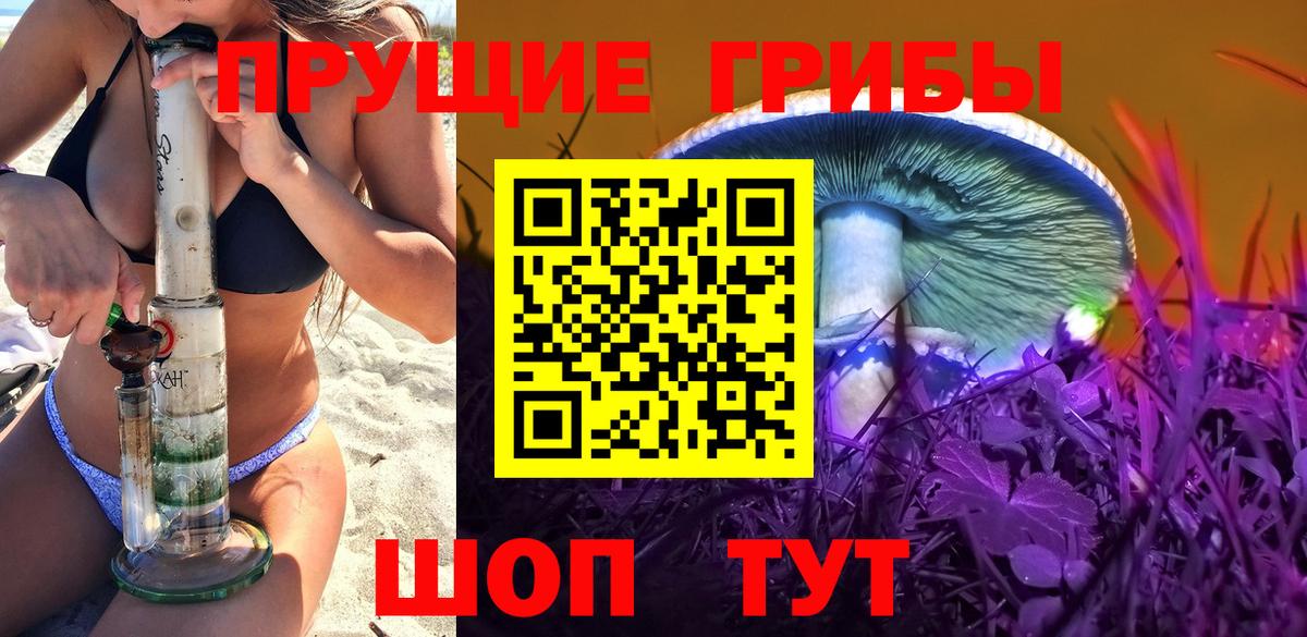Галлюциногенные грибы Psilocybine cubensis Сальск