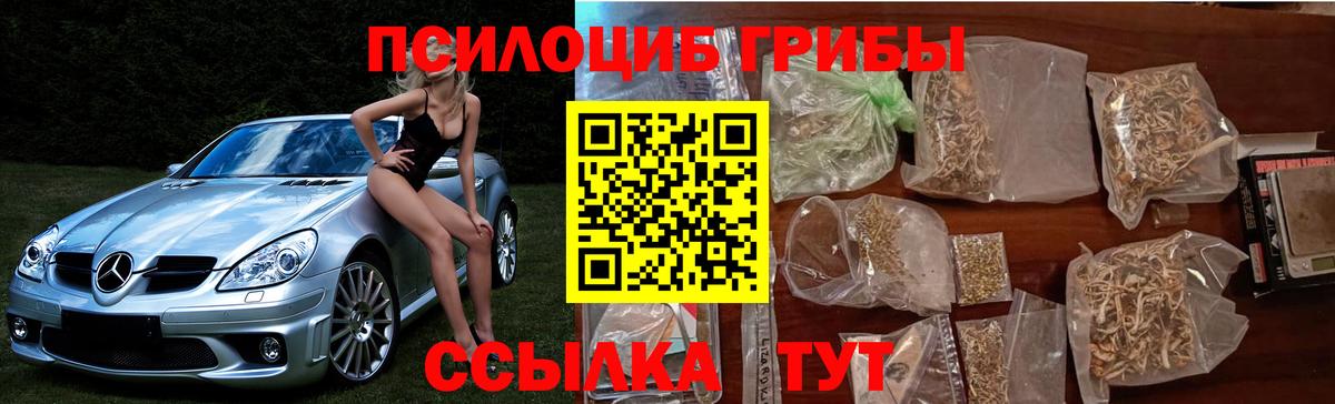 дарнет шоп  Вход с VPN  Сальск  Галлюциногенные грибы Psilocybe 